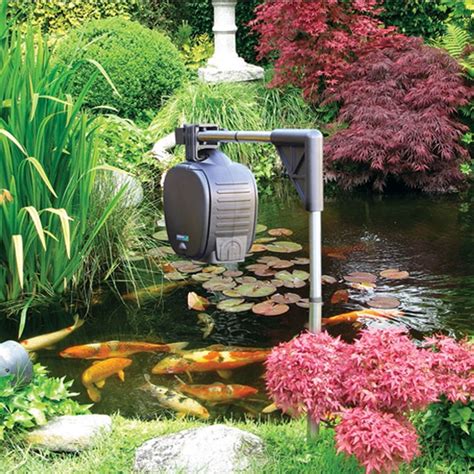 automatic pond fish feeder|5 Popular Automatic Pond Fish Feeders Compared .